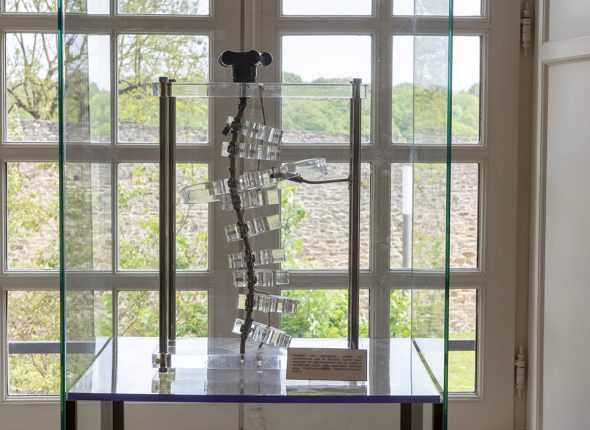 some views of the exhibition dedicated to Dr Cotrel